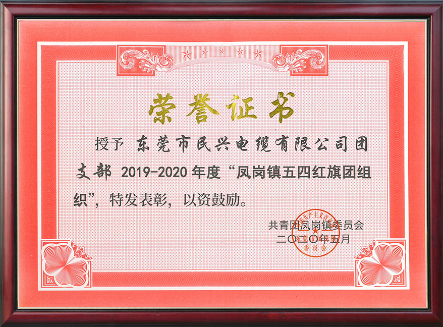  拉斯维加斯9888电缆团支部获“凤岗镇五四红旗团组织“称呼